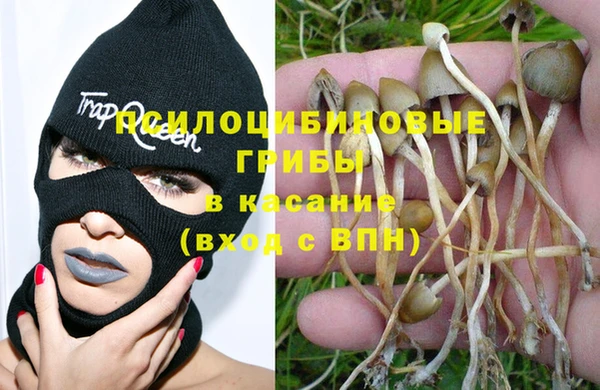индика Алзамай