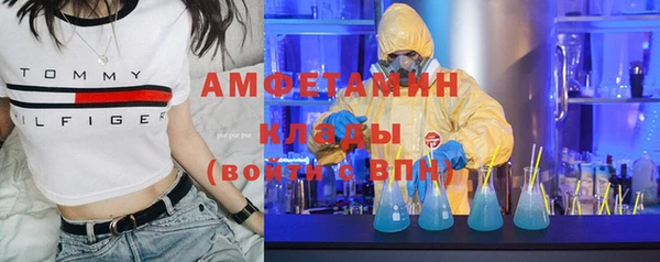 индика Алзамай
