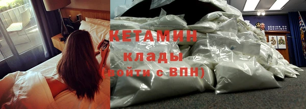 крисы Аркадак