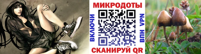 Галлюциногенные грибы ЛСД  где купить наркоту  Лахденпохья 